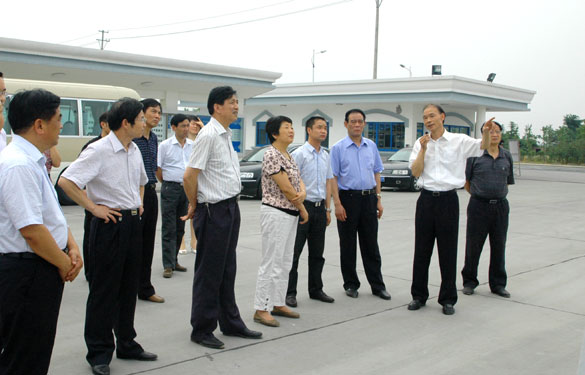 溧阳市人大常委会领导视察必赢集团超高压电缆项目建设情况