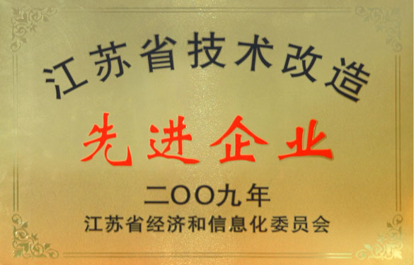 bwin必赢获“2009年江苏省技术改造先进企业”称号